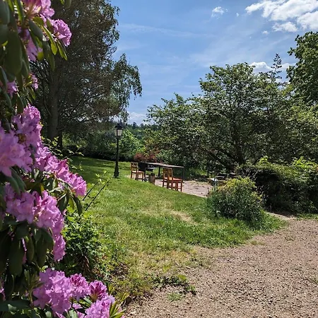 Frühstückspension Apaisante Avec Sauna Et Petit-dejeuner Inclus - Fr-1-589-714 Sapois (Vosges)